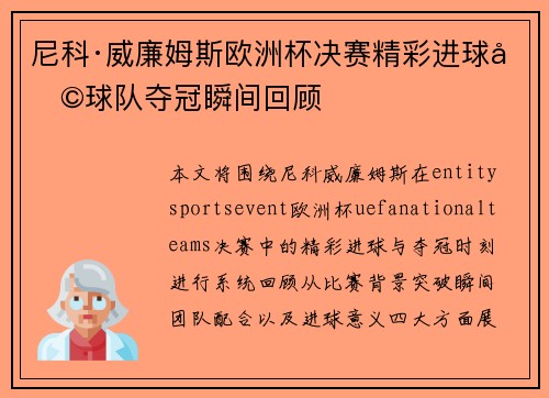 尼科·威廉姆斯欧洲杯决赛精彩进球助球队夺冠瞬间回顾