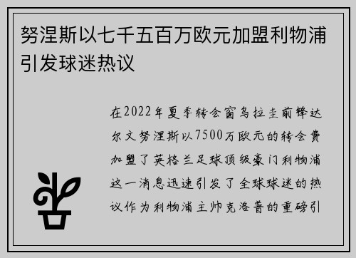 努涅斯以七千五百万欧元加盟利物浦引发球迷热议